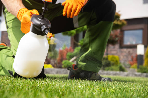 Best Mosquito Control Services  in Evergreen Park, IL
