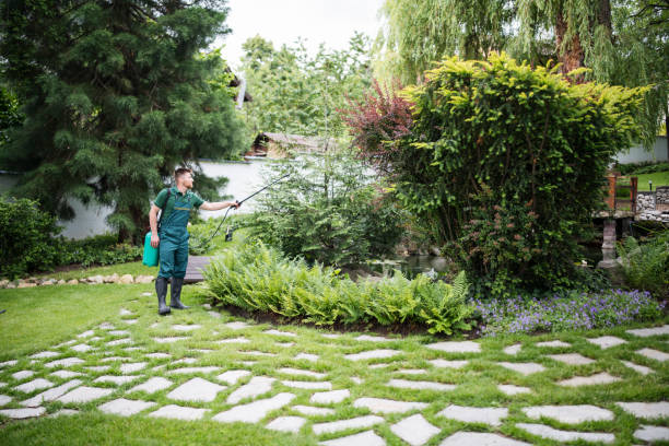 Reliable Evergreen Park, IL Pest Control Solutions
