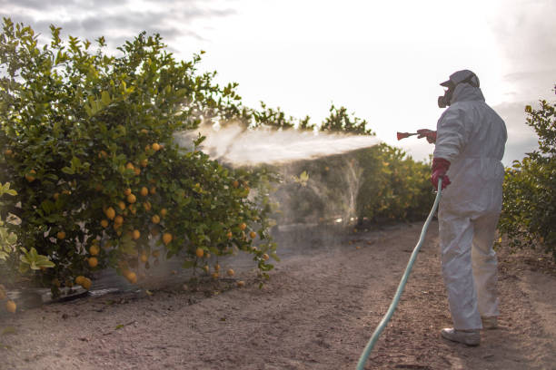 Best Best Pest Control Companies  in Evergreen Park, IL