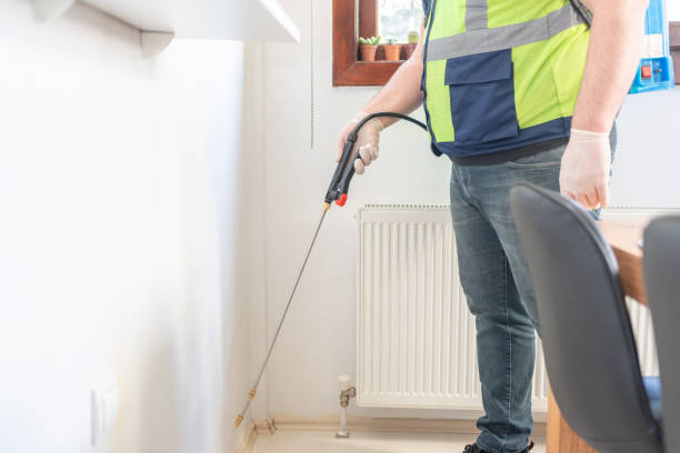 Best Flea Control Services  in Evergreen Park, IL