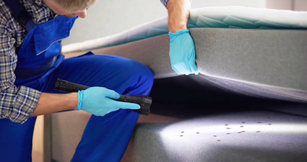 Best Pest Control Treatment  in Evergreen Park, IL