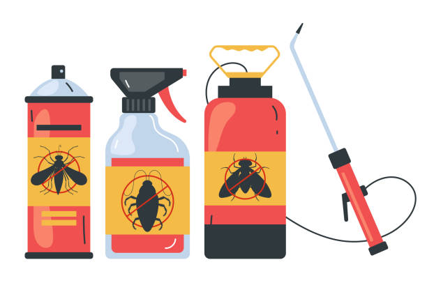 Best Wasp Removal Services  in Evergreen Park, IL
