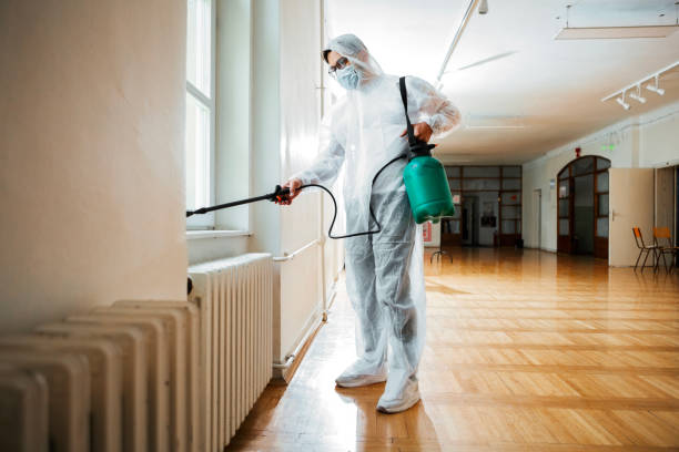 Best Best Pest Control Companies  in Evergreen Park, IL