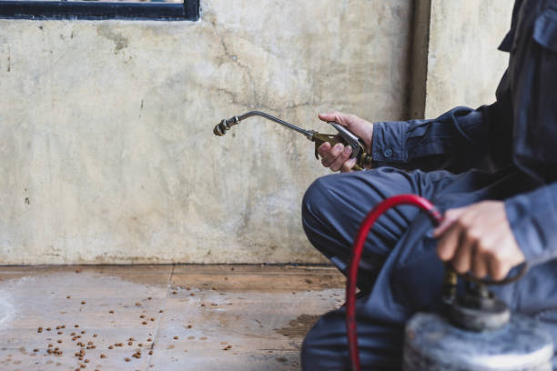Best Affordable Pest Control Services  in Evergreen Park, IL